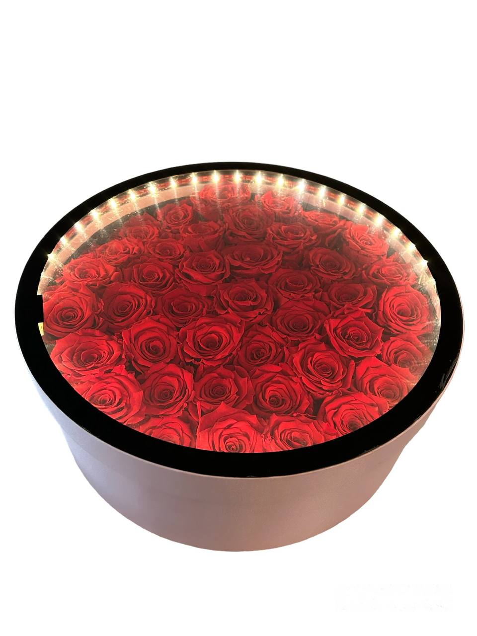 Bloom's Large Round LED Lights Box